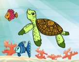 Dibujo Tortuga de mar con peces pintado por beatriz03