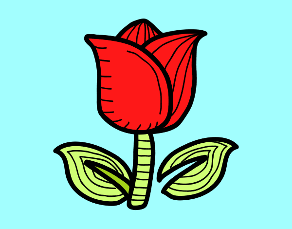 Dibujo Tulipán pintado por israbert