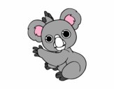 Un Koala