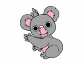 Un Koala