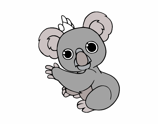 Un Koala