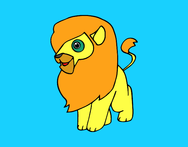 Un león