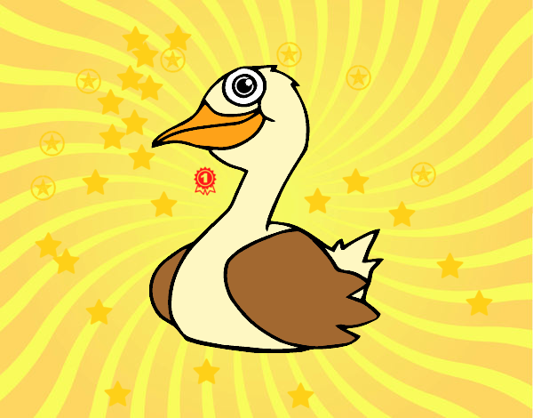 Un pato