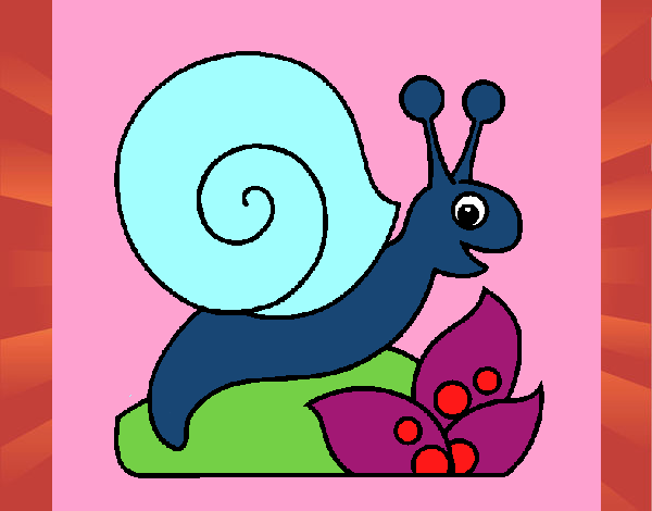 Caracol