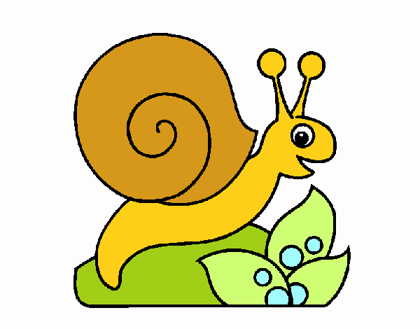 Caracol