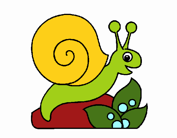 Caracol