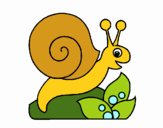 Caracol