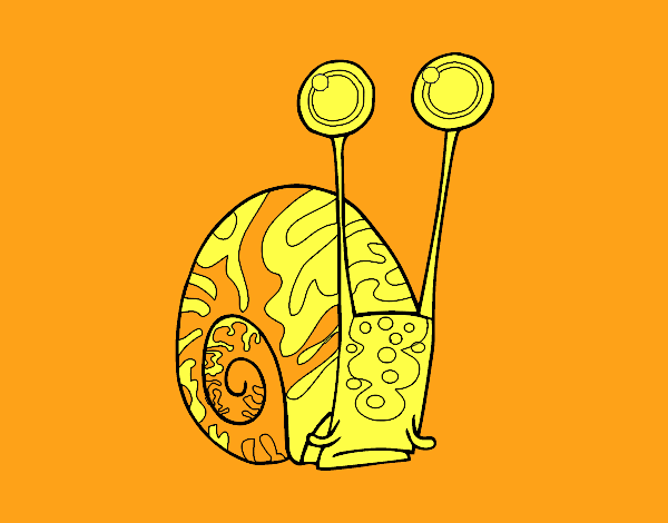 Caracol común