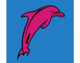 Delfín adulto