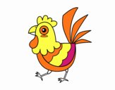 Gallina de granja