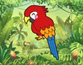 Guacamayo