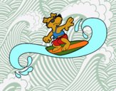 Perro surfeando