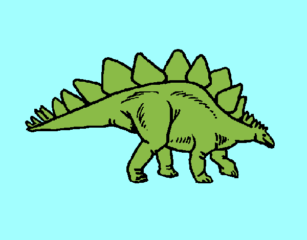 Stegosaurus