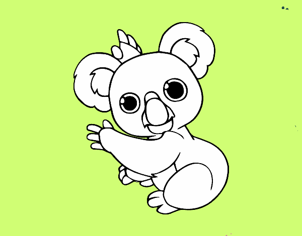 Un Koala