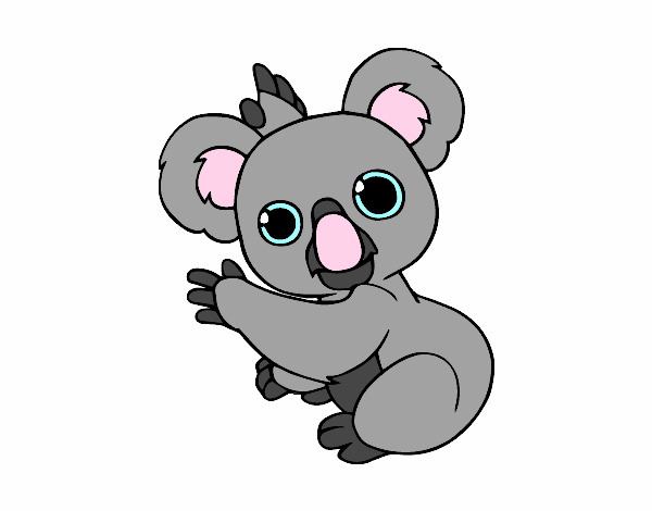 U.u jaja KoAlA