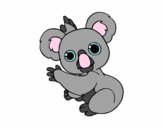 Un Koala