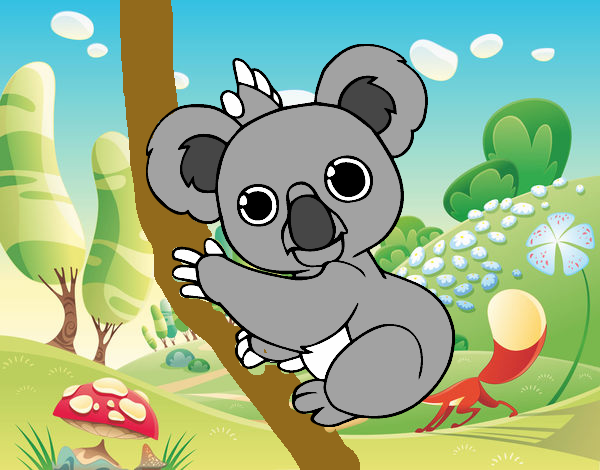 Un Koala