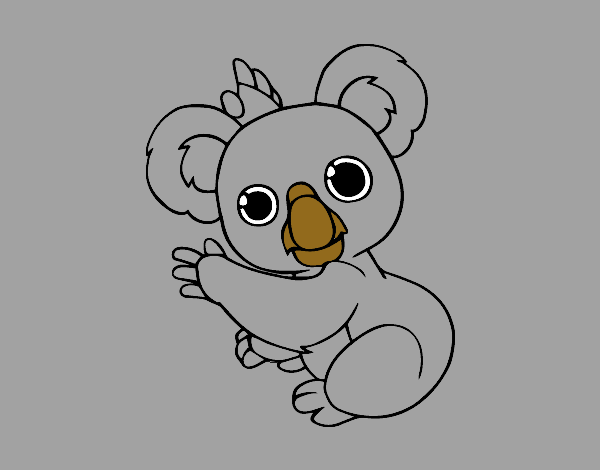 Un Koala