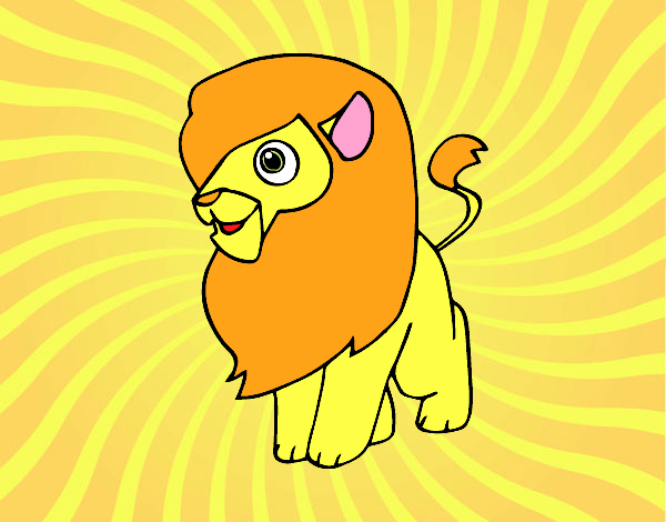 Un león