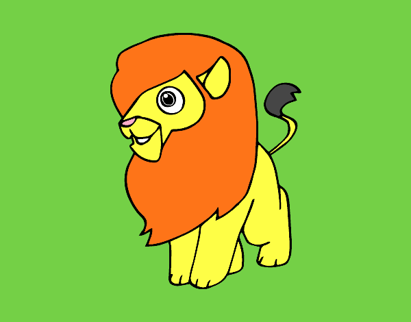 Un león