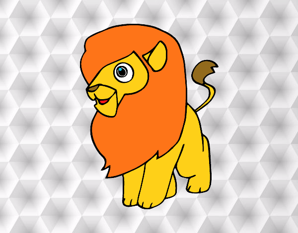 Un león