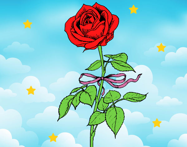 Una rosa