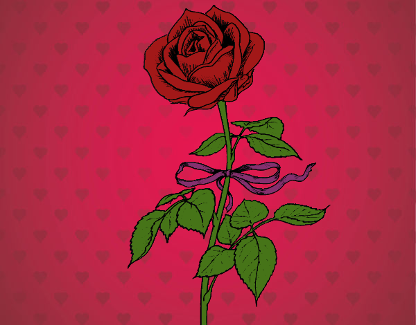 Una rosa