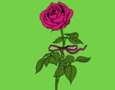 Dibujo Una rosa pintado por queyla