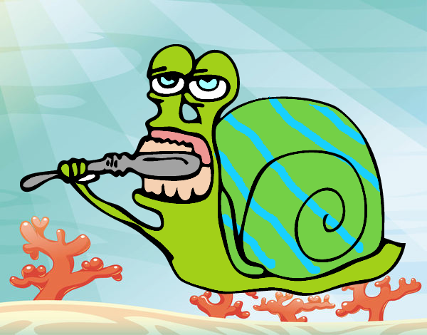 Caracol limpio