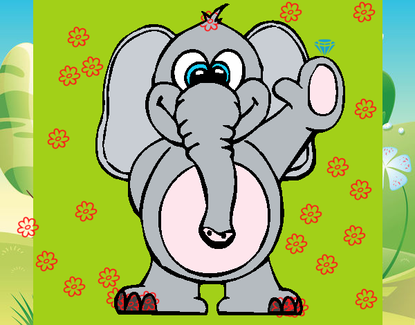 Elefante 2