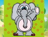 Elefante 2