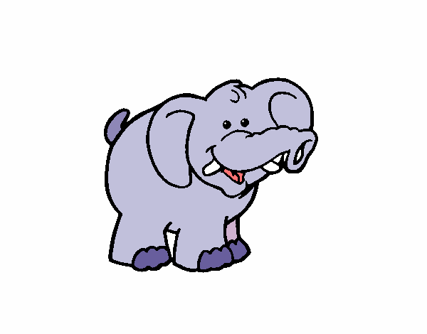 Elefante 3