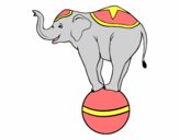 Dibujo Elefante equilibrista pintado por majogarza