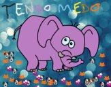 Elefante vergonzoso