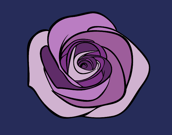 Flor de rosa