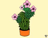 Dibujo Flores de cactus pintado por carlosvill