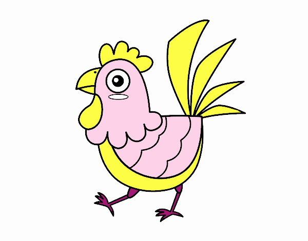 Gallina de granja