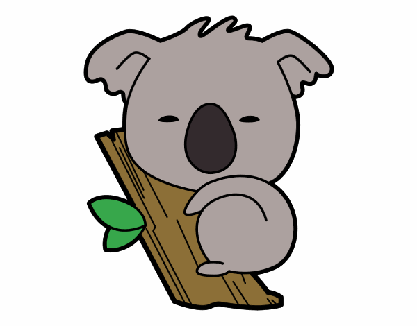 Koala bebé