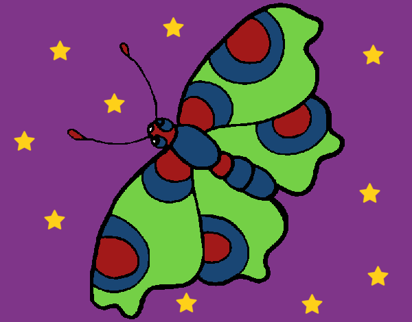 Mariposa 11