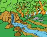 Dibujo Paisaje de bosque con un río pintado por MarielaH
