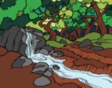 Dibujo Paisaje de bosque con un río pintado por Sachiko468