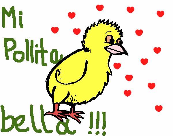 Pollito