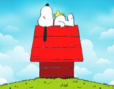 Snoopy durmiendo