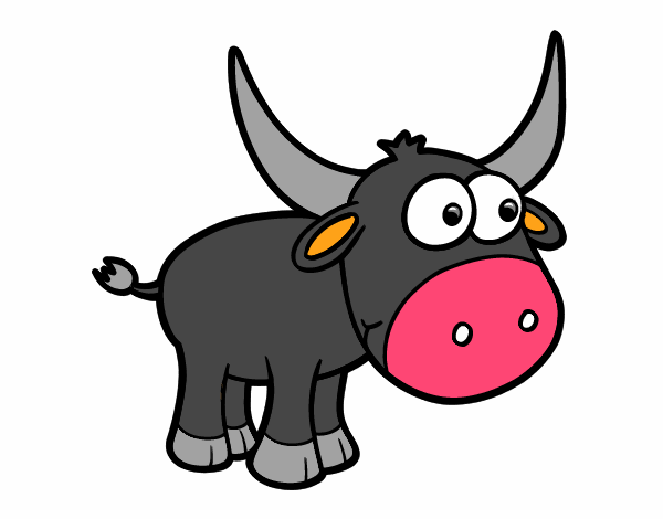 Torito