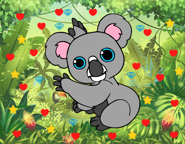 Un Koala