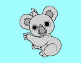 Un Koala