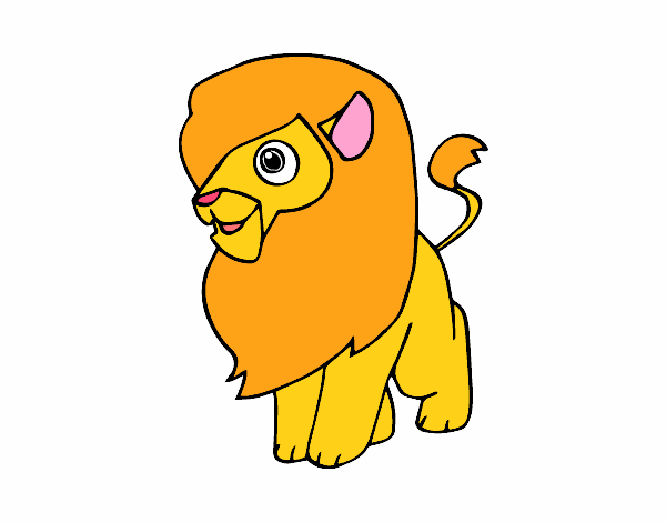 Un león