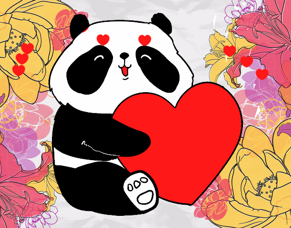 Amor Panda