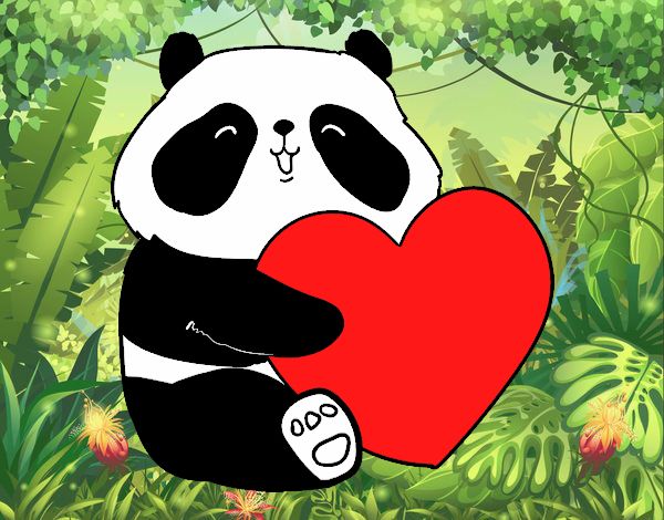 Amor Panda