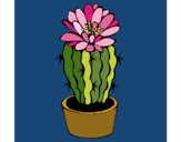Dibujo Cactus con flor pintado por MATUSA